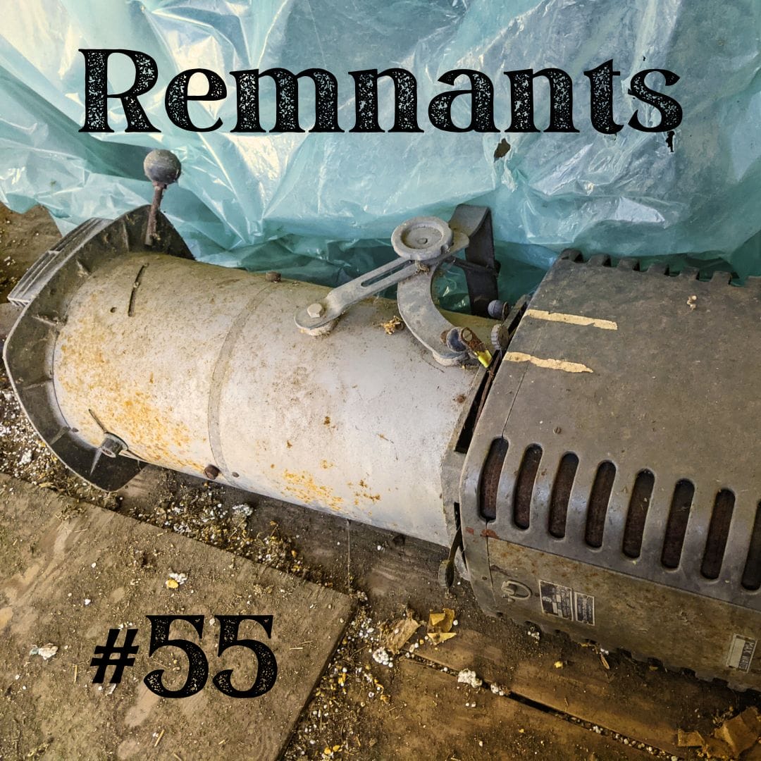 Update #55: Remnants Update #55: Remnants